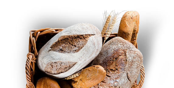 World-Class Bakery